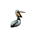 Pelicans NESTlogo-white-no bg-sm